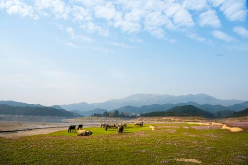 长田湾