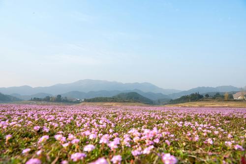 长田湾