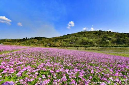 美丽乡村— 长田湾水库