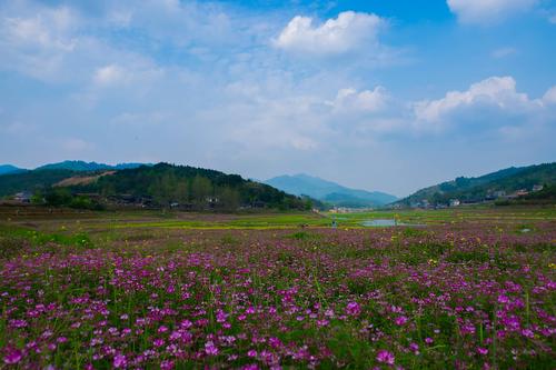 长田湾