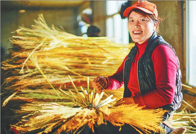 村企“小而美”“农闲”人不闲