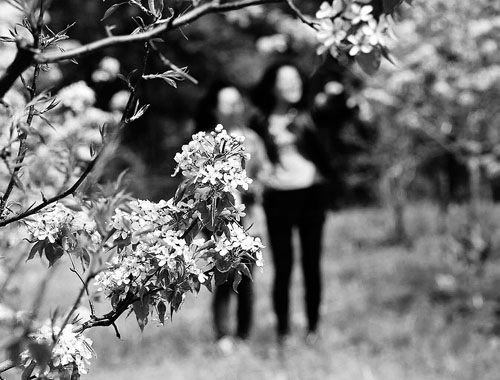 绥滨农场让果农搭上旅游致富车