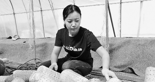 新型农民庞英华学创双丰收