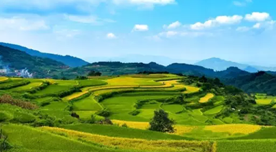 仙人湾布村风景