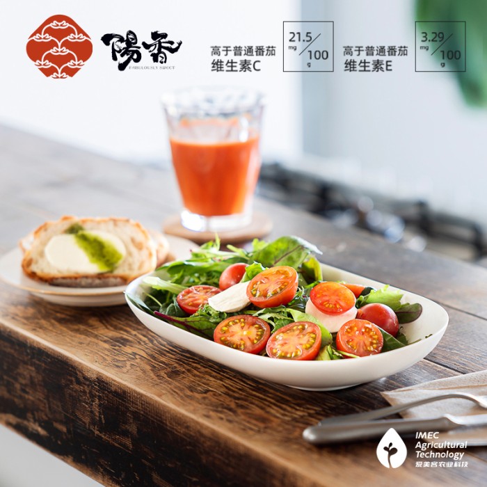 阳香番茄 sss级-樱系列