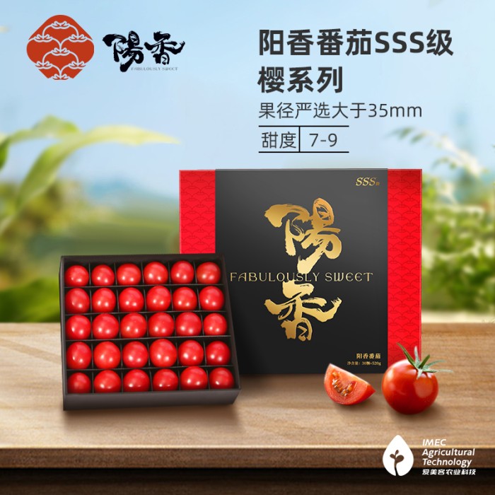 阳香番茄 sss级-樱系列