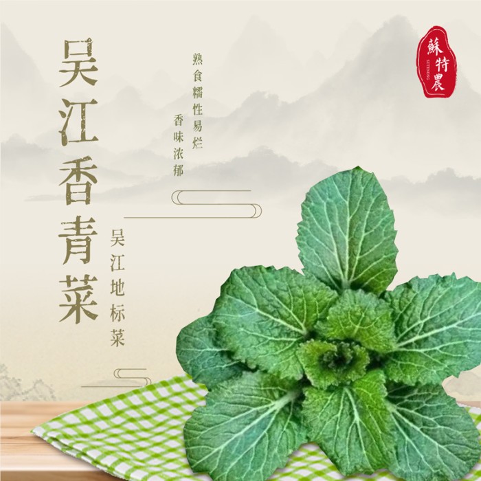 吴江香青菜