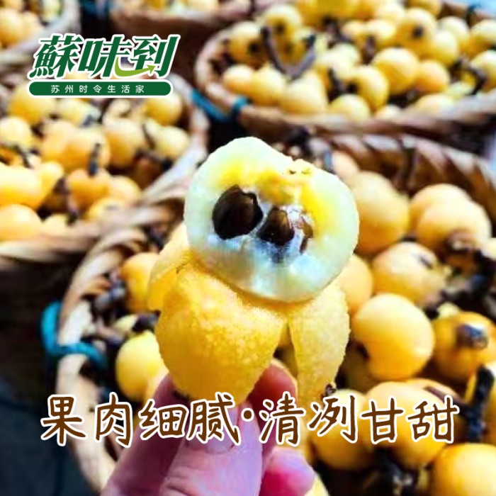 蘇味到 东山白玉枇杷