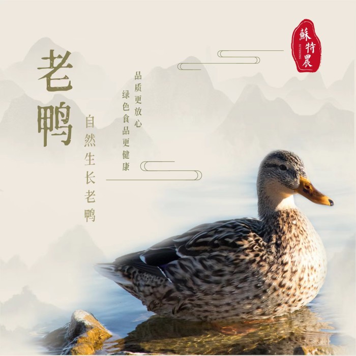 本地老鸭