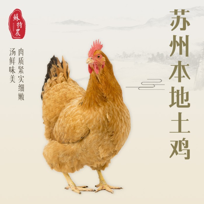 苏州本地土鸡