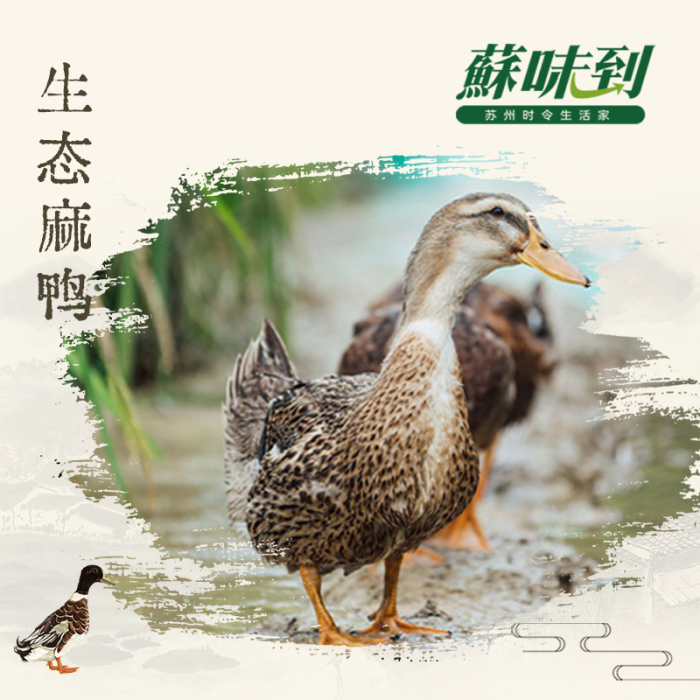 蘇味到 甄选 麻鸭
