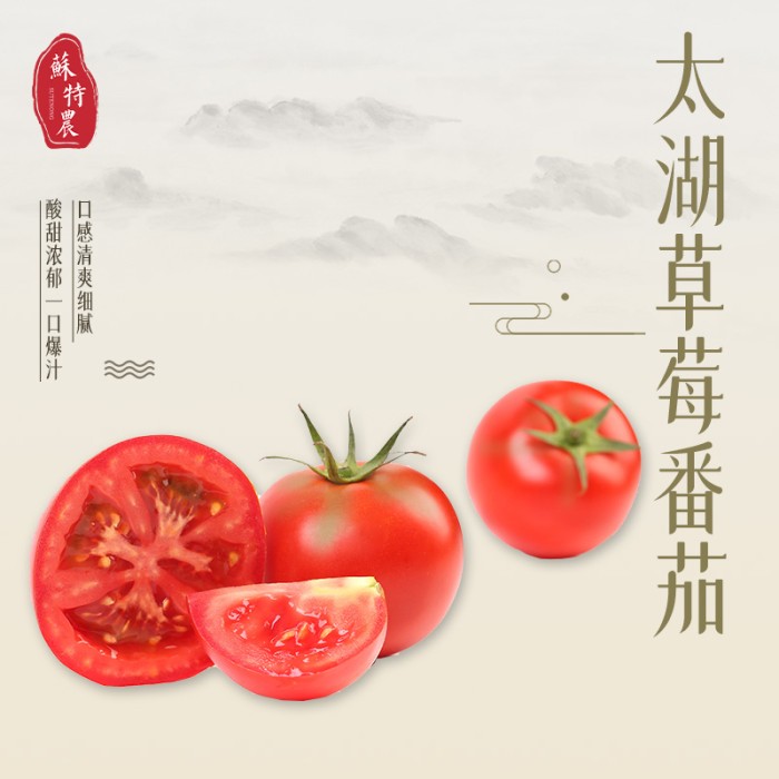 太湖草莓番茄