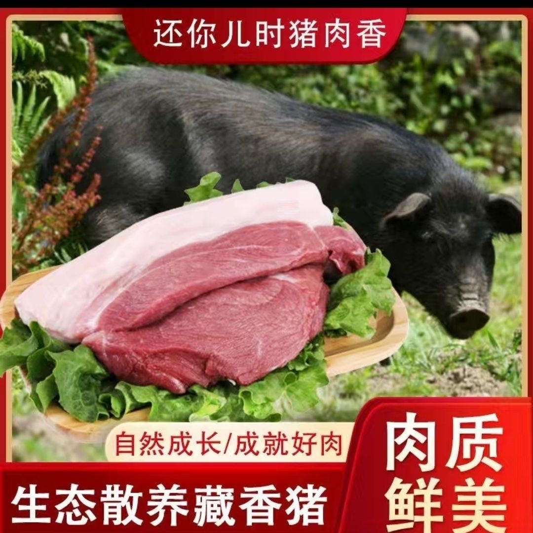 安徽散养黑毛士猪肉
