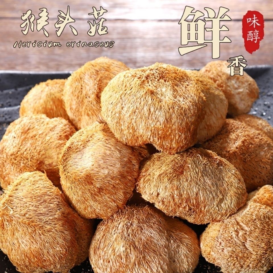 高山猴头菇