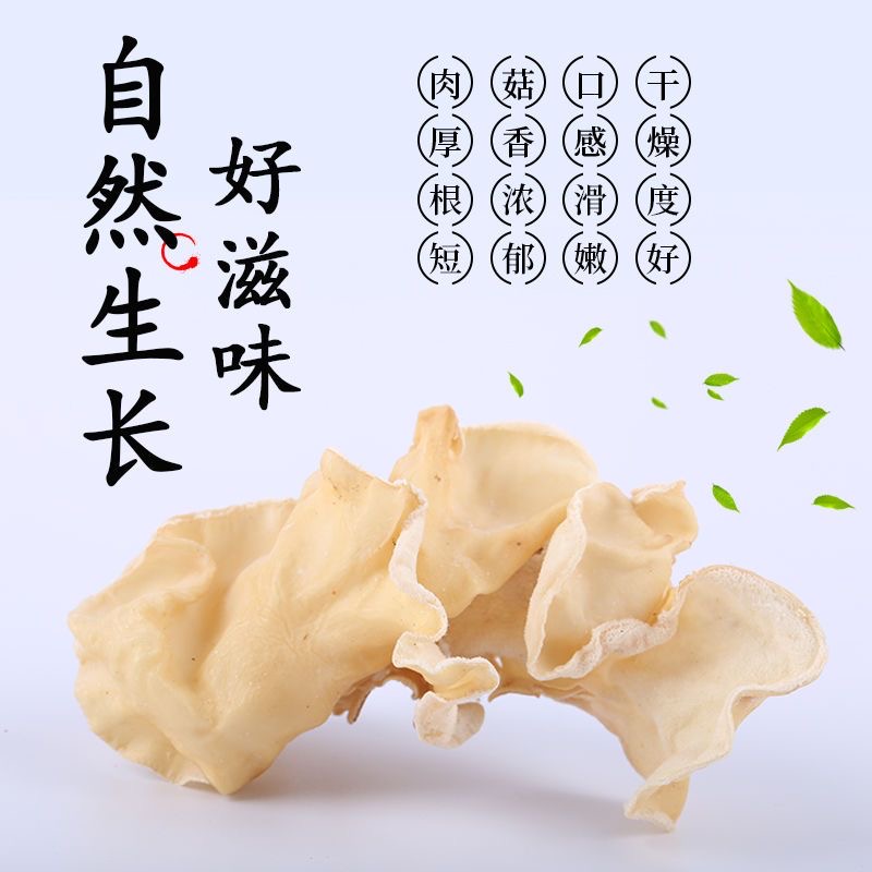 安徽正宗黄山竹耳
