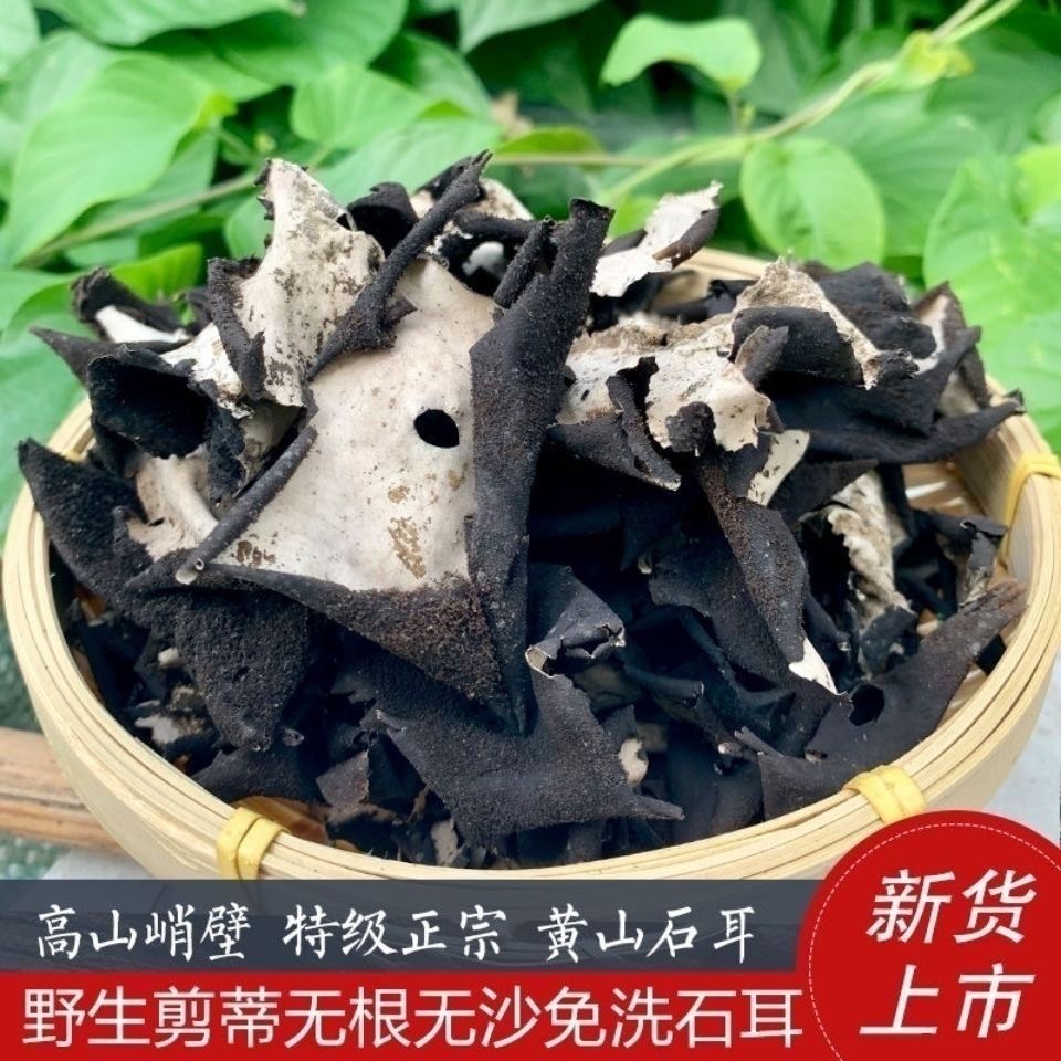 安徽黄山石耳