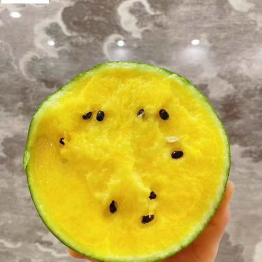 仁风西瓜