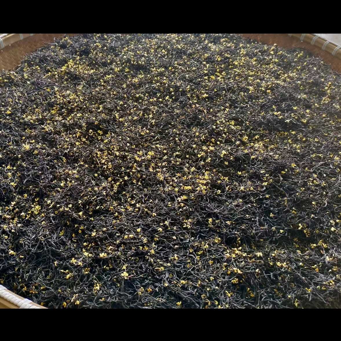 桂花红茶一级